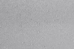 E14BC257-57C0-4871-1C91-D1C700CB27EE